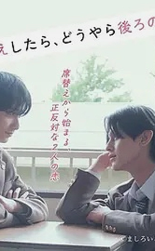 误入君怀影视封面